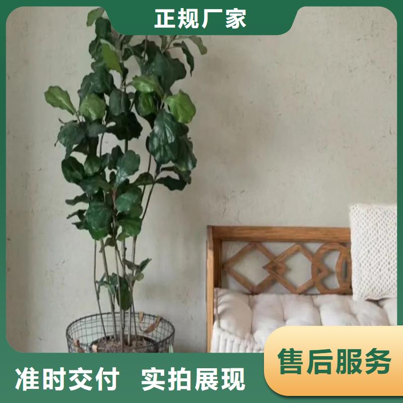 生态稻草漆生产厂家高品质现货销售