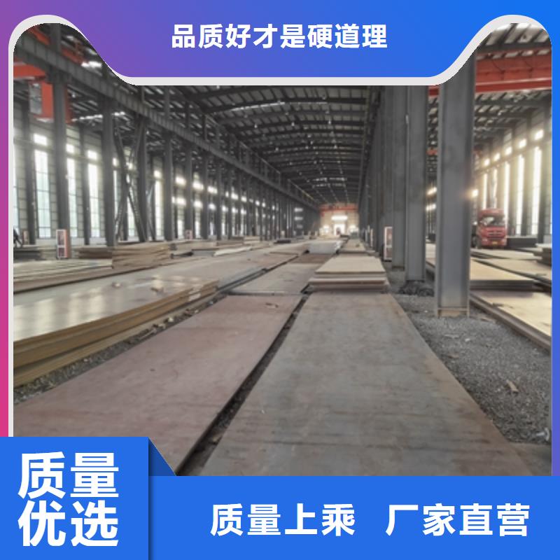 BST700L汽车大梁板实体大厂质量安心