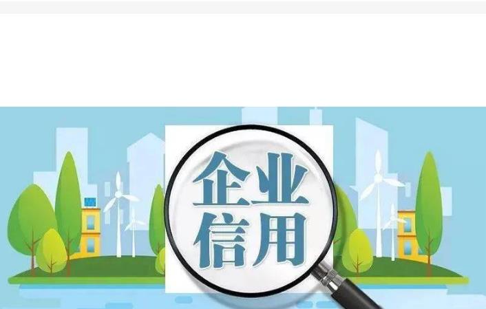 上海定制处理环境保护局处罚决定书