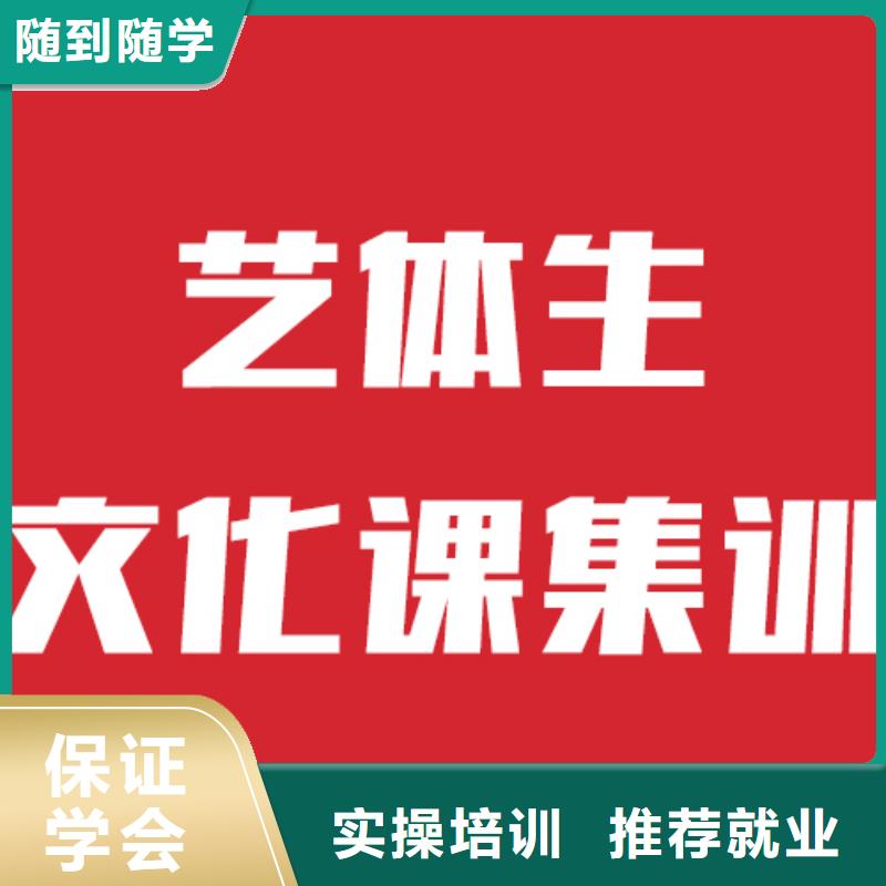 艺术生文化课补习有几所学校靠谱吗？手把手教学