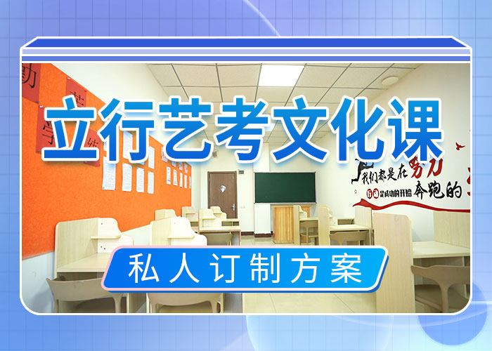 艺考文化课冲刺艺考培训理论+实操