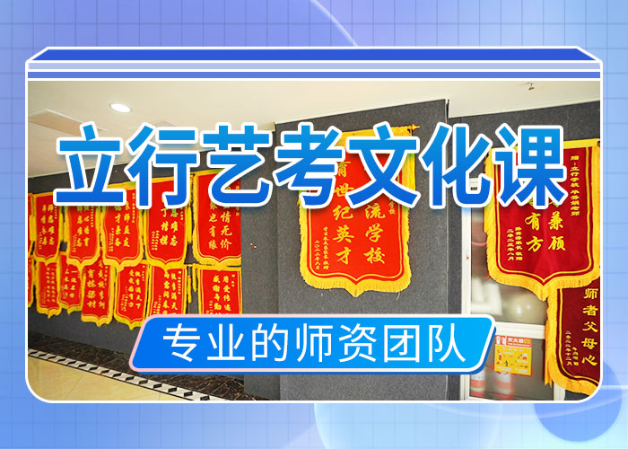 艺考文化课冲刺艺考培训理论+实操