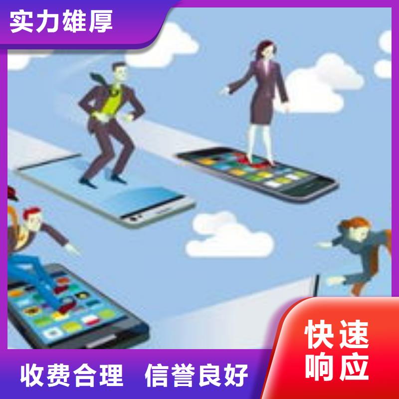 网络运营公司当地厂家