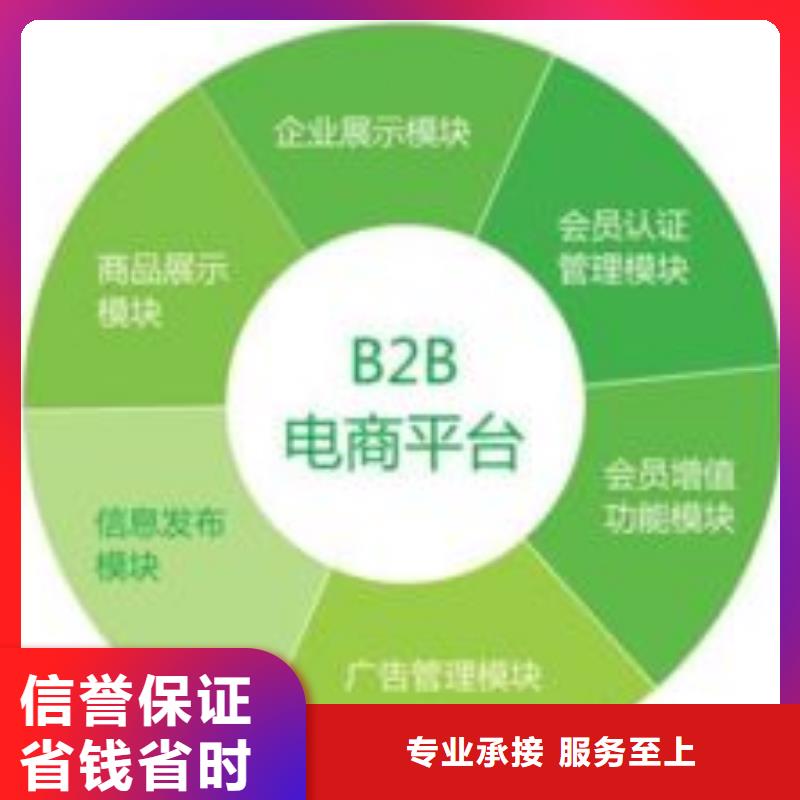 b2b平台推广技术可靠