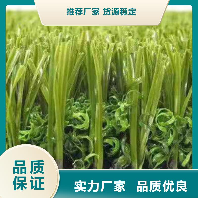 人造草坪施工当地制造商