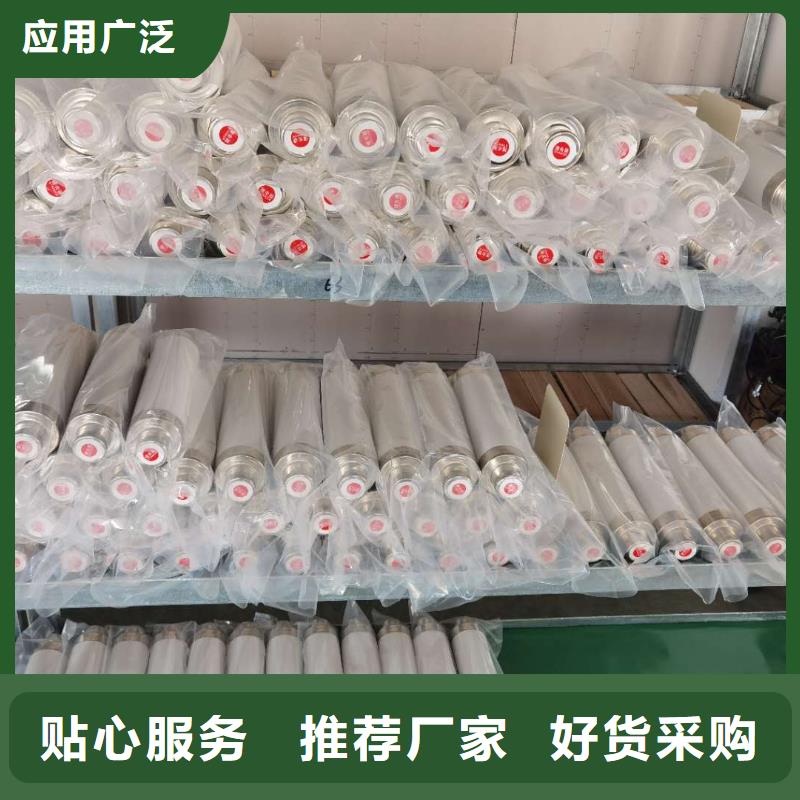 保护电压互感器用高压限流熔断器XRNP1-35/2A厂家库存充足