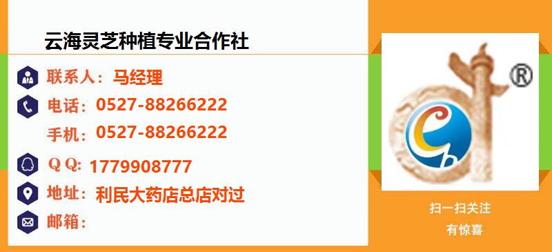 [滁州]云海灵芝种植专业合作社名片