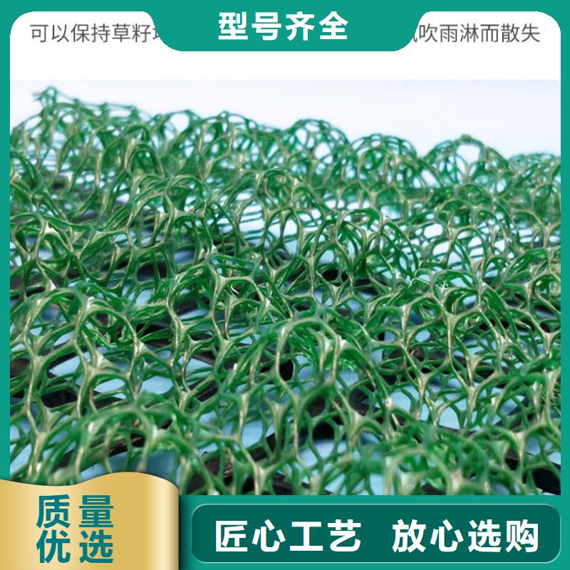 20242024塑料三维植被网施工工艺老客户钟爱