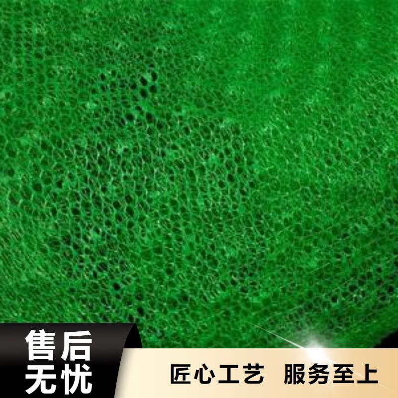 EM3三维植被网价格绿化植草网价格生产基地现货充足