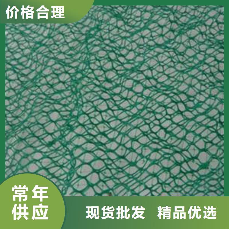 复合三维网厂家三维复合排水网价格复合排水网多少钱高标准高品质