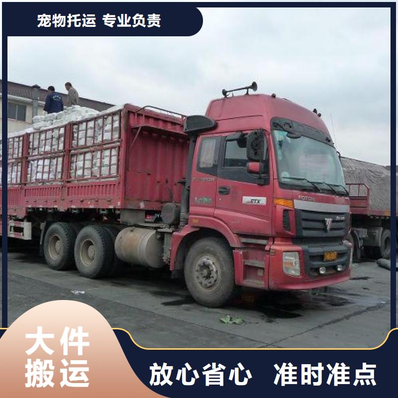 龙江到泉州市石狮货运公司泉州市石狮专线天天发车