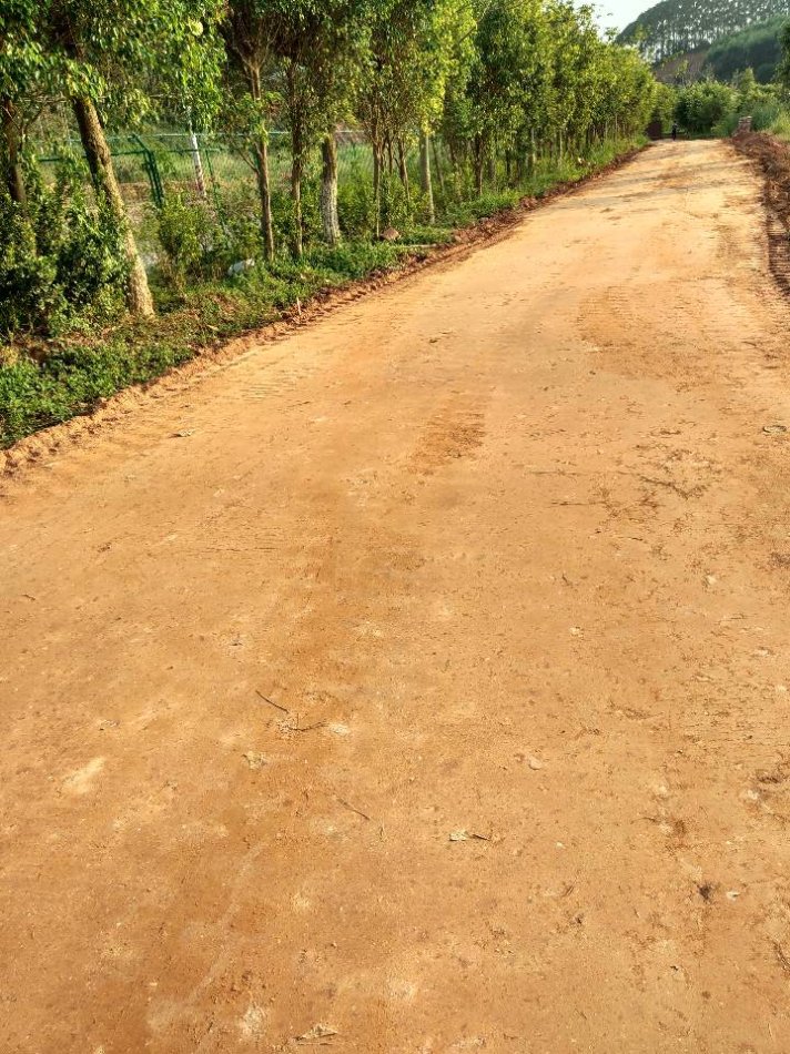 土壤固化污泥处理五河临时道路重载道路真的靠谱吗？