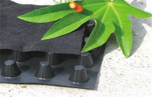 新罗排水板生产厂家塑料排水板价格