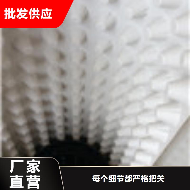 安庆改性聚丙烯纤维专业技术