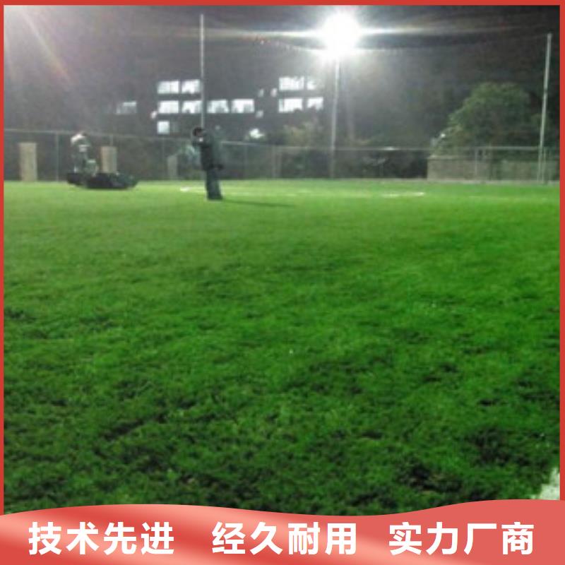 甘肃足球场人造草坪价格是多少