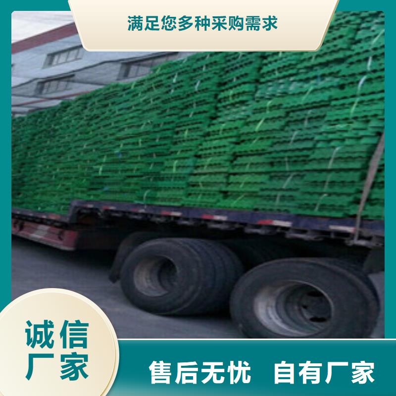 涿州塑胶植草格耐磨损停车场绿化草坪植草格园林保护垫