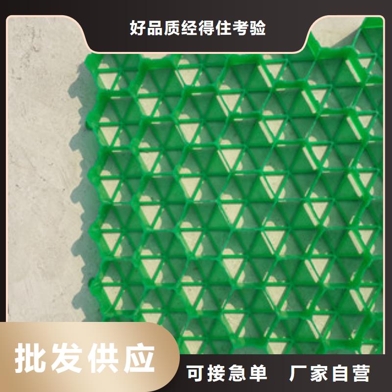 台湾7公分塑料植草格哪家好？