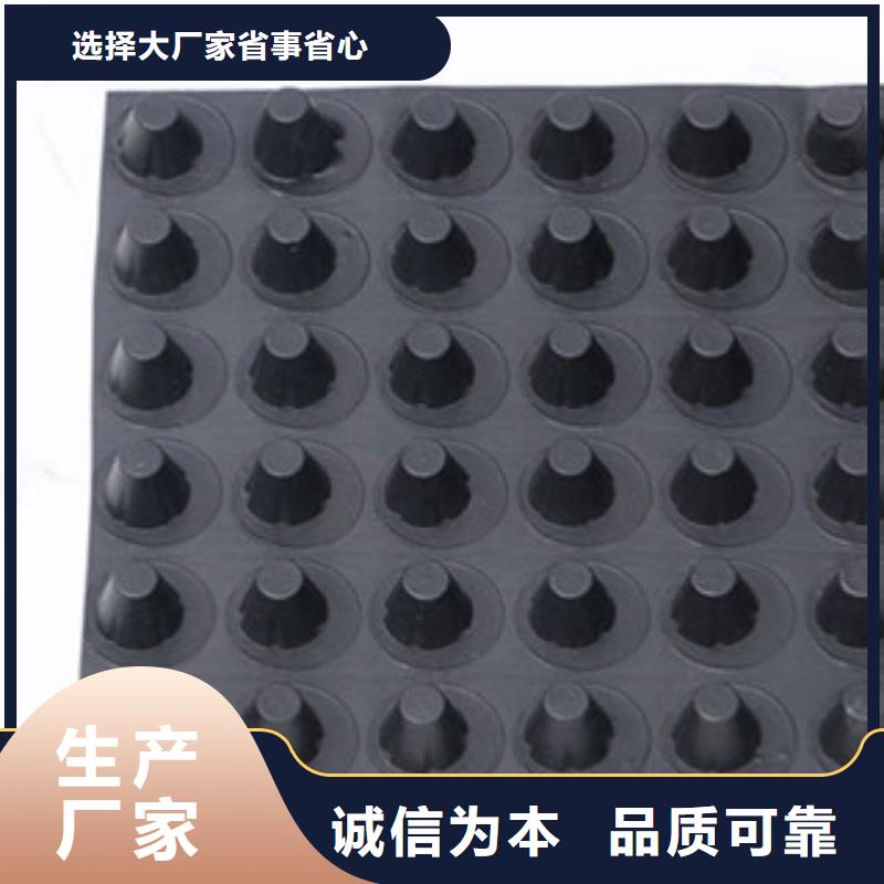 20mm塑料疏水板工地车库顶板专用优质厂家贵阳