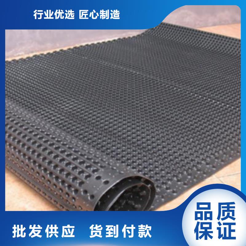 车库底板排水板工地车库顶板专用优质厂家枝江