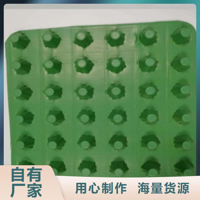 东川厂家批发花园凹凸型HDPE高分子蓄排水板卷材排水板