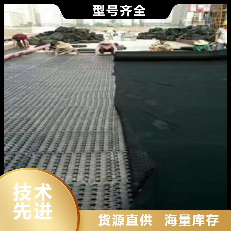 天津4公分高蓄排水板泰安富泰土工材料有限公司厂家价格